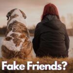 How to Identify fake Friends?