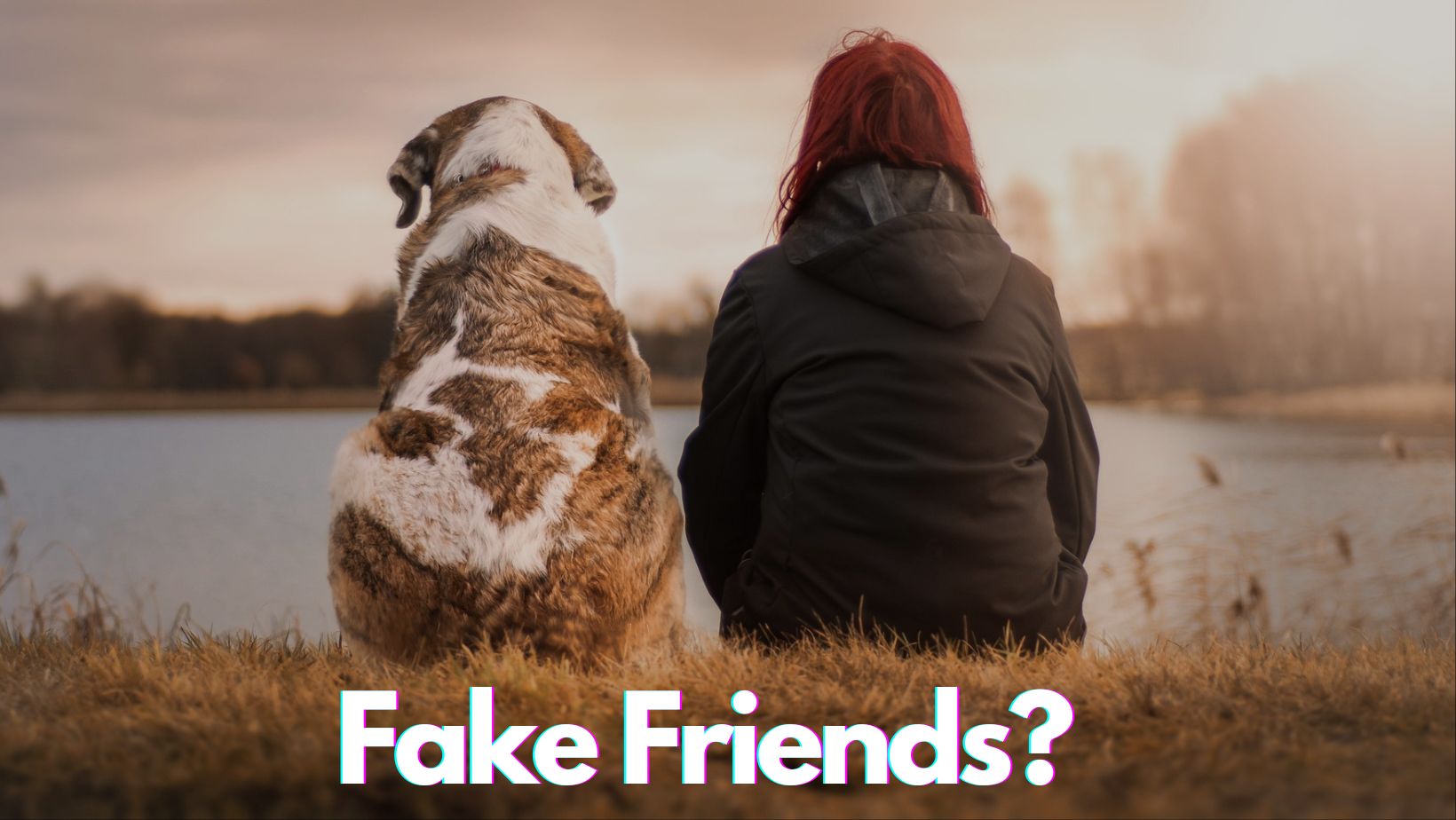 How to Identify fake Friends?